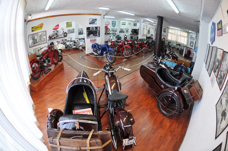 Pizzeria el Salvatico