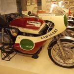 Collezione Salsapariglia