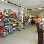 Collezione Mario Pedrali