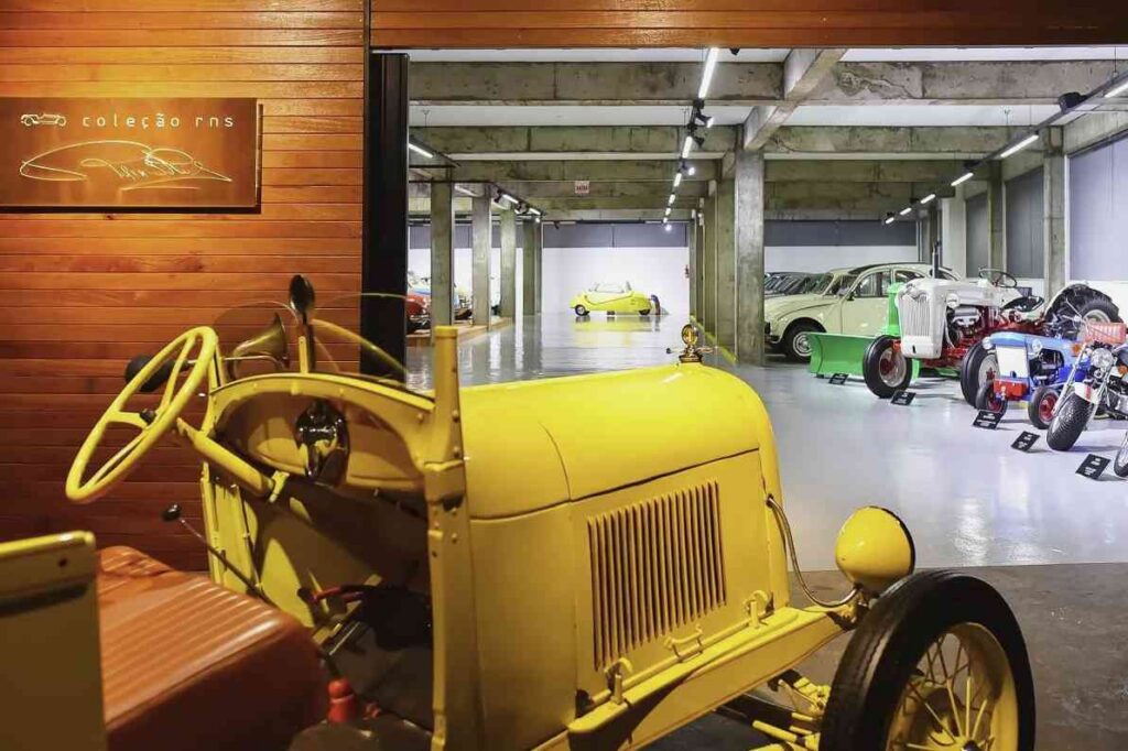 Coleção RNS Rubi Nelson Skalee