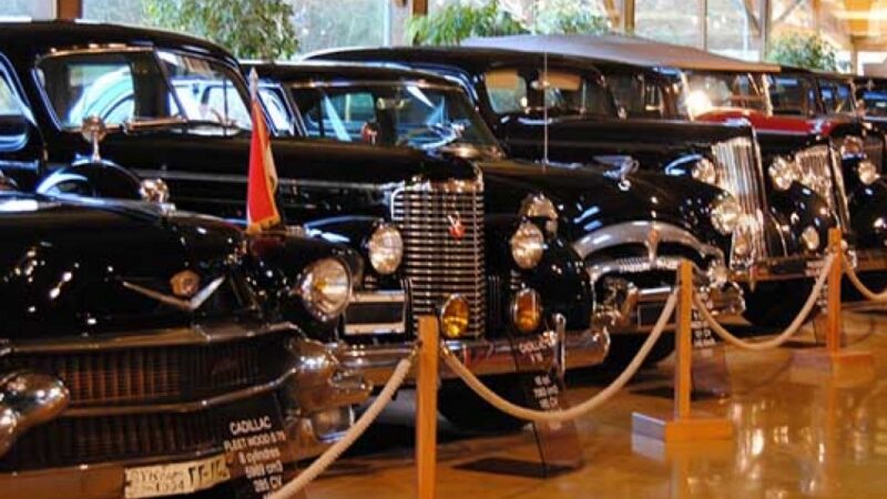 Manor of The Automobile