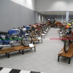 Collezione Mario Sassi