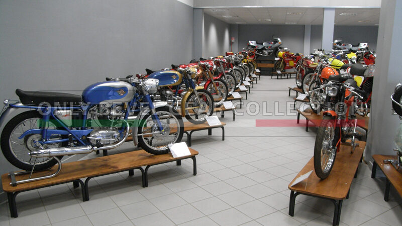 Mario Sassi Collection