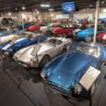 The Cobra Experience